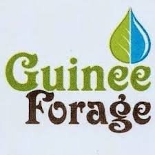 FORTUNE CONSTRUCTION CONSORTIUM GUINEE FORAGE SA